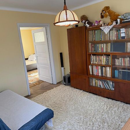 Casa Rurala Cu Livada Lavandra กัมปีนา ภายนอก รูปภาพ